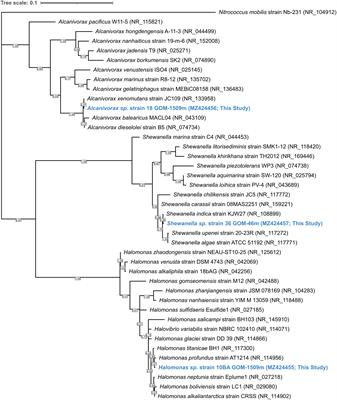 Compounding deep sea physical impacts on marine microbial motility